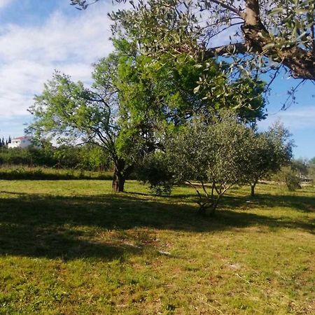 S&M Camping Sveti Filip i Jakov Buitenkant foto