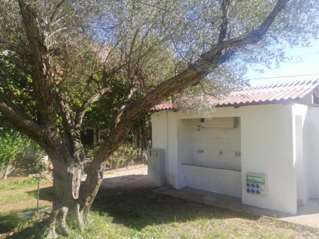 S&M Camping Sveti Filip i Jakov Buitenkant foto