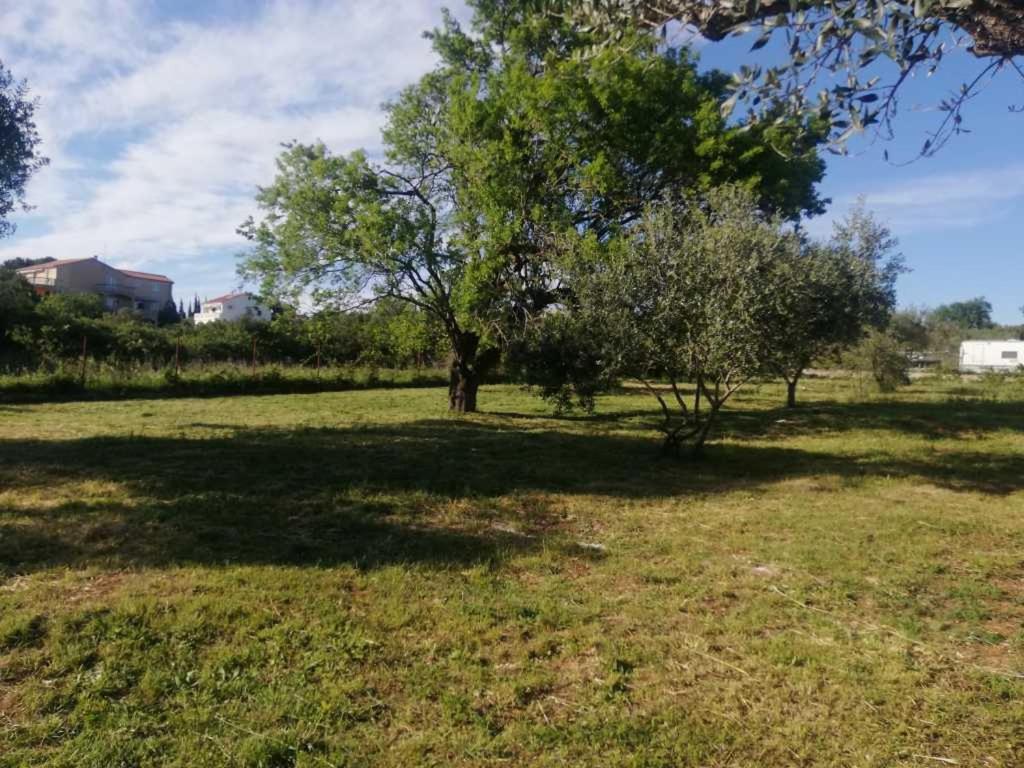 S&M Camping Sveti Filip i Jakov Buitenkant foto
