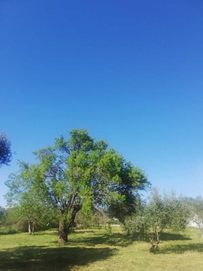 S&M Camping Sveti Filip i Jakov Buitenkant foto