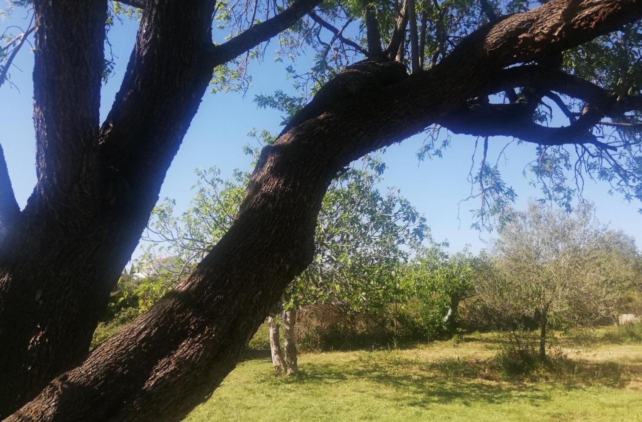 S&M Camping Sveti Filip i Jakov Buitenkant foto