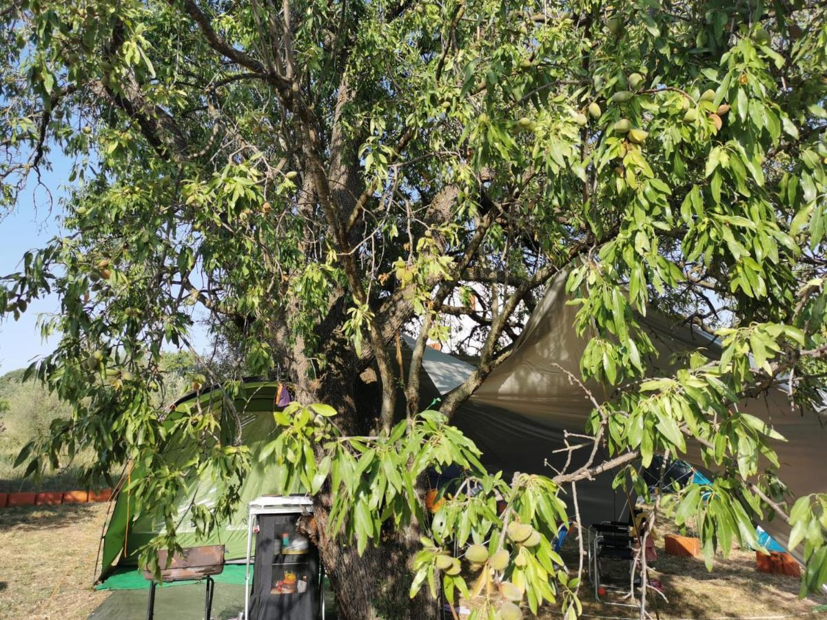 S&M Camping Sveti Filip i Jakov Buitenkant foto